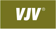 VJV