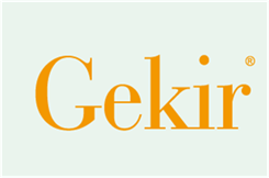  GEKIR