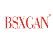  BSXGAN