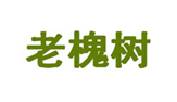  老槐树