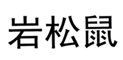  岩松鼠