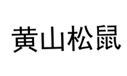 黄山松鼠