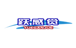  跃感觉
