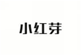  小红芽