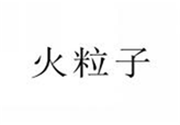  火粒子