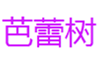  芭蕾树