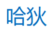  哈狄