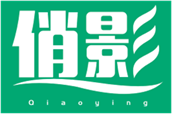  俏影
