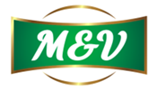  MV