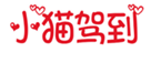  小猫驾到