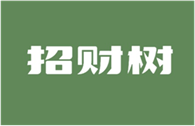  招财树